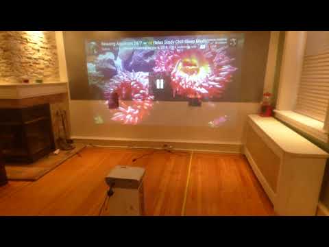 BEFORE YOU BUY A PROJECTION SCREEN YOU NEED TO SEE THIS DEMONSTRATION!