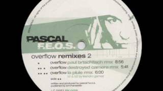 Pascal F.E.O.S. - Overflow (Destroyed Camera Rmx)