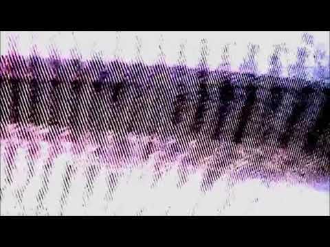 Reimi feat. CartmanEinz & ??? - Wack-MC-Dynastie