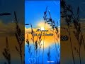 Kadhal Vanthal Tamil Love Feel Songs ️ ️