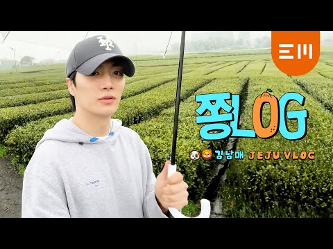 [쫑LOG] 종현이의 제주도 VLOG 🌴ㅣ🐶🦁 K(IM)-남매여행 그리고 네컷사진 💟