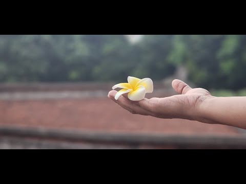 Why Do We Travel - Tamhini Ghat x Revdanda Beach | A Film Shot On Samsung S22 Ultra