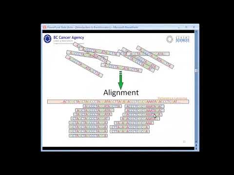Introduction to Bioinformatics