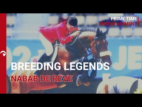 Breeding Legends - Nabab de Rêve