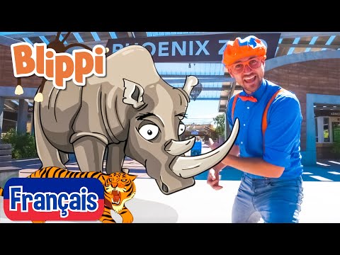 Blippi en français - Blippi visite un Phoenix Zoo | Vidéos éducatives pour les enfants