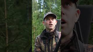 Hirschbrunft in den Karpaten - jetzt auf HOD #rotwild #jagd #hirsch