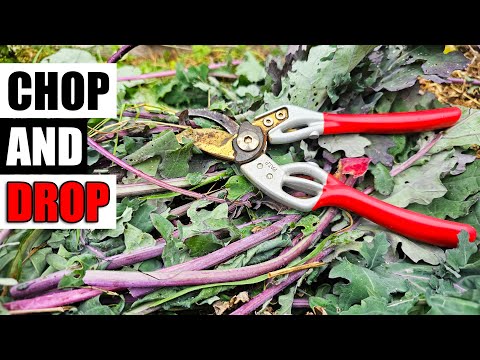 Chop and Drop Explained - Garden Quickie Episode 173