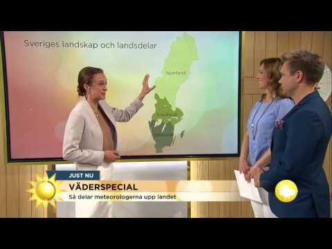 Väderspecial: Här skiner solen idag - Nyhetsmorgon (TV4)
