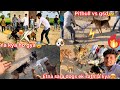 Etna Sara Dogs Ek Sath La Liya Public Reaction Pitbull Vs Gsd Sb Dogs Ka Apas M Panga Ho Gya