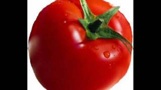 كلمات اغنية الطماطم شعبان عبد الرحيم