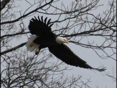 I Know These Hills  -  Kevin Costner   ft.  Sara Beck