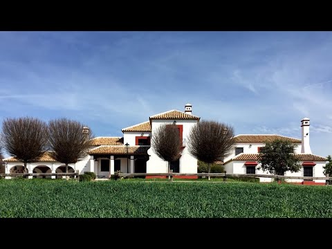 Fernando Martín Sanjuán: A life-time work to keep the uniqueness and beauty of Écija, Seville