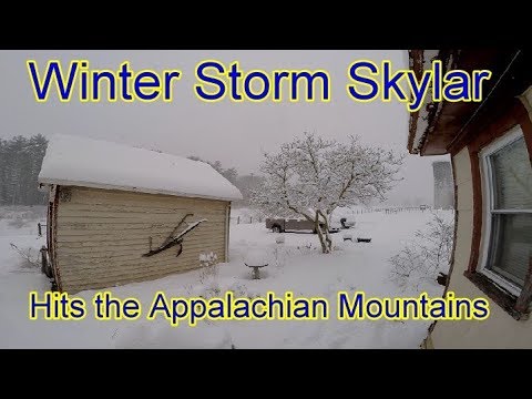 Winter Storm Skylar
