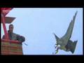 Birds - peregrine falcon dives at 180 mph - Ultimate ...