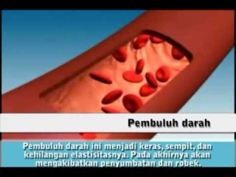 Yang sudah memiliki metode pembesaran penis Sebagai potensi rambut