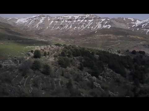 download lagu mp3 mp4 Taste Of The Wild Lebanon, download lagu Taste Of The Wild Lebanon gratis, unduh video klip Taste Of The Wild Lebanon