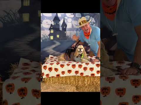 Notre champ de citrouilles petcon était si magique ! 🫶