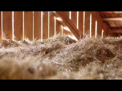 Prenočišča, rooms, poroka na prostem MADRONIČ Stari trg ob Kolpi