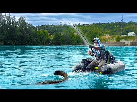 I CATCH THE FISH OF MY DREAMS WITH A WHOPPER PLOPPER!!😨