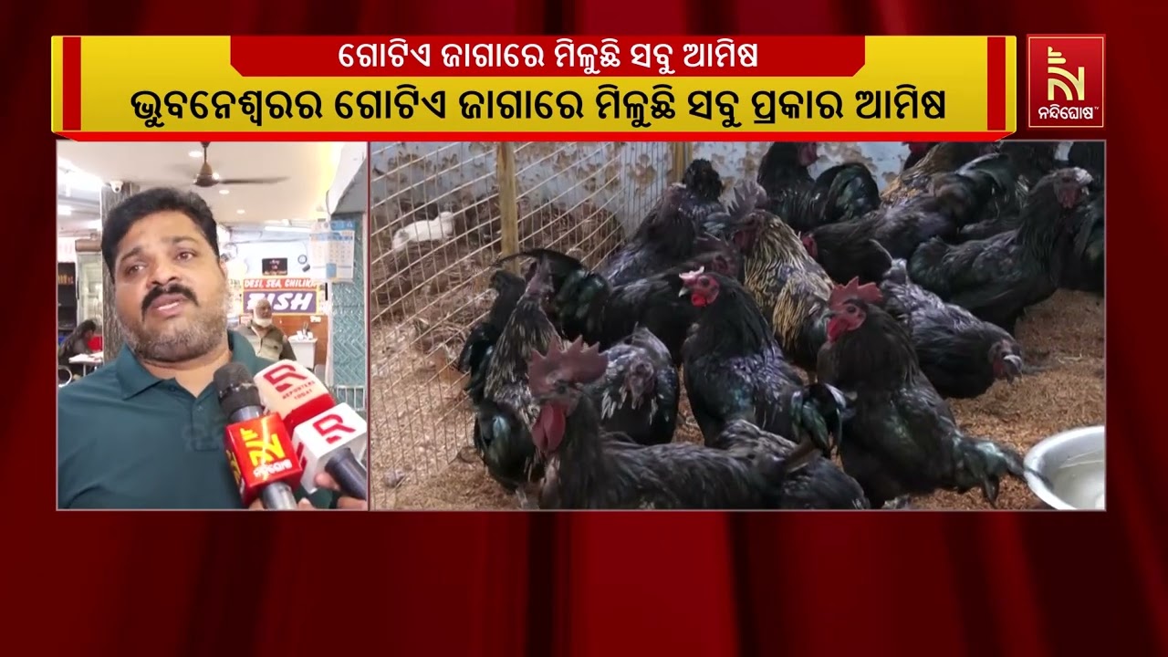 ଭୁବନେଶ୍ଵରର ଗୋଟିଏ ଜାଗାରେ ମିଳୁଛି ଦେଶ ବିଦେଶର ବିଭିନ୍ନ ପ?