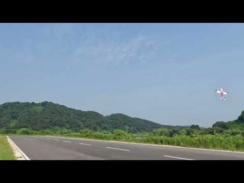 Eclipson model B XL[beta ver.] - maiden flight (3d printing rc airplane)