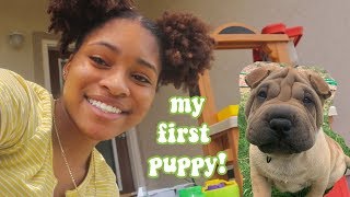 I finally got a puppy!