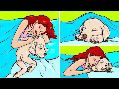 17 Myths About Pets You Can Stop Believing