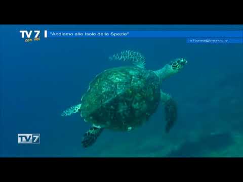 Tv7 con Voi del 25/6/2018 - Isole delle Spezie (2 di 3)