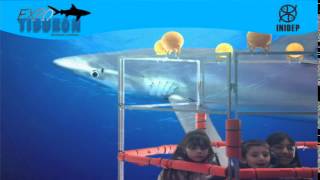 DIA 2 Expo Tiburon79