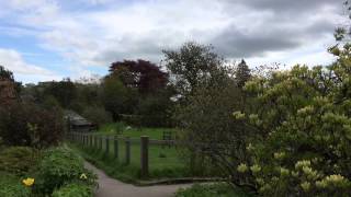 イギリス旅行記❹湖水地方