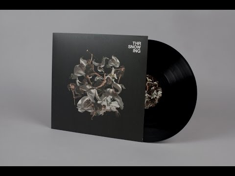 Throwing Snow feat. Py - As You Fall VIP [Houndstooth]