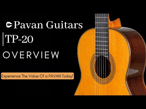 Pavan TP-20 Cedar Spanish Classical Guitar- All solid woods, Handcrafted in Spain image 8