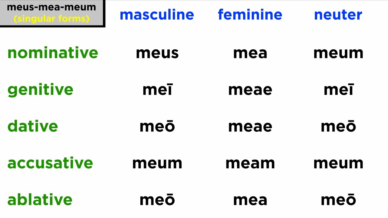 Possessive Adjectives and Pronouns in Latin