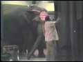 Ringling Red Backstage Bob Lloyd And Elephants 1983