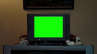 Robert Pattinson "this is my favourite video ever” green screen