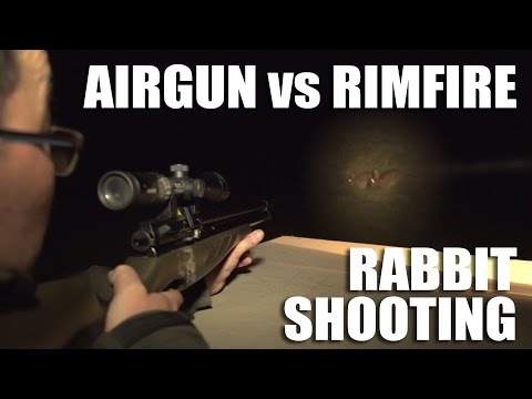 Airgun vs Rimfire
