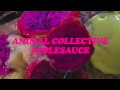Animal Collective - Applesauce (Official Audio)
