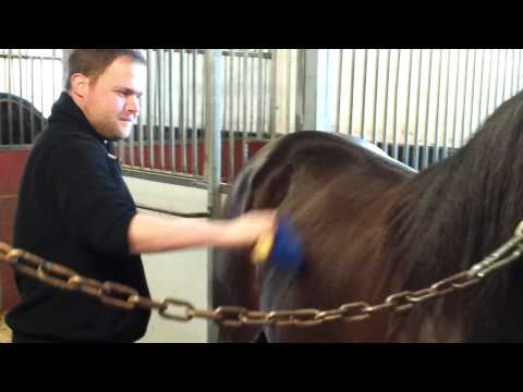 Limpos lus i sammarbete med FD