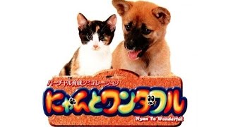 PS1 Import Stream: Nyan to Wonderful, Cyberwar