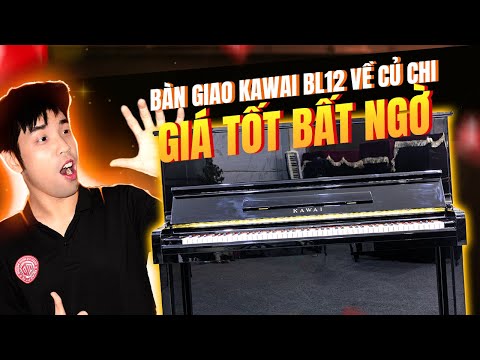 Yamaha U1H - Đàn đẹp âm hay - Giảm giá sốc