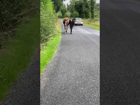 Video 1