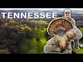 NASHVILLE TURKEY HUNTING This Place Was LOADED