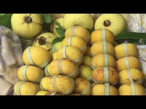 New Phnom Penh Market Food Compilation - Natural Life In Cambodian Market - Asian Market Food