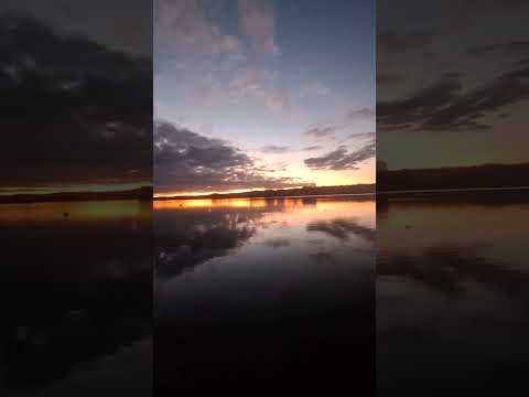 puerto de futrono región de los ríos chile #cristian #viral #sur