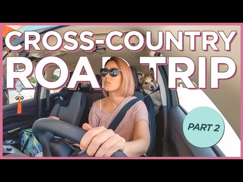 Solo Cross Country Road Trip With My Dog PART 2: Houston to Fort Stockton