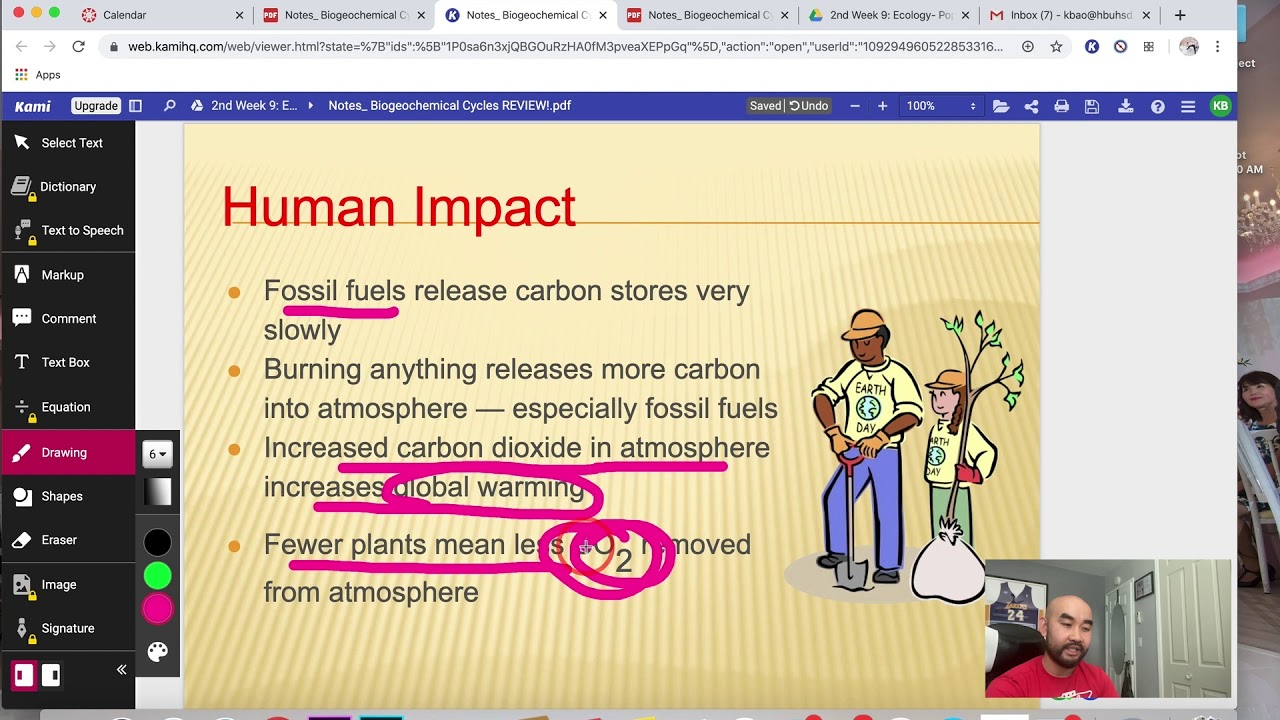 PPT Notes #5: Biogeochemical Cycles