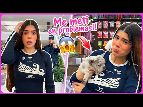 I GOT IN TROUBLE FOR FILMING A $5,000 DOG 😱 | Ani Cat Vlogs💗