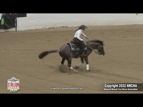Hazardouz Material Erin Taormino 2022 NRCHA Stallion Stakes Open Two Rein