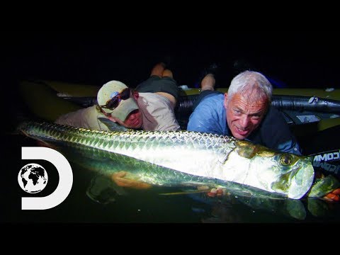 ジェレミーは、この巨大なターポンとの壮大な戦いを和らげる｜リバーモンスターズ (Jeremy Wages An Epic Battle With This Giant Tarpon | River Monsters)