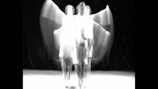 Fight Fight With Fight - Cats and Cats and Cats